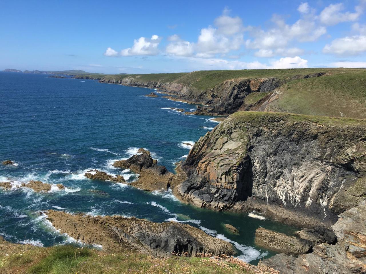 The Cambrian Inn Solva Kültér fotó